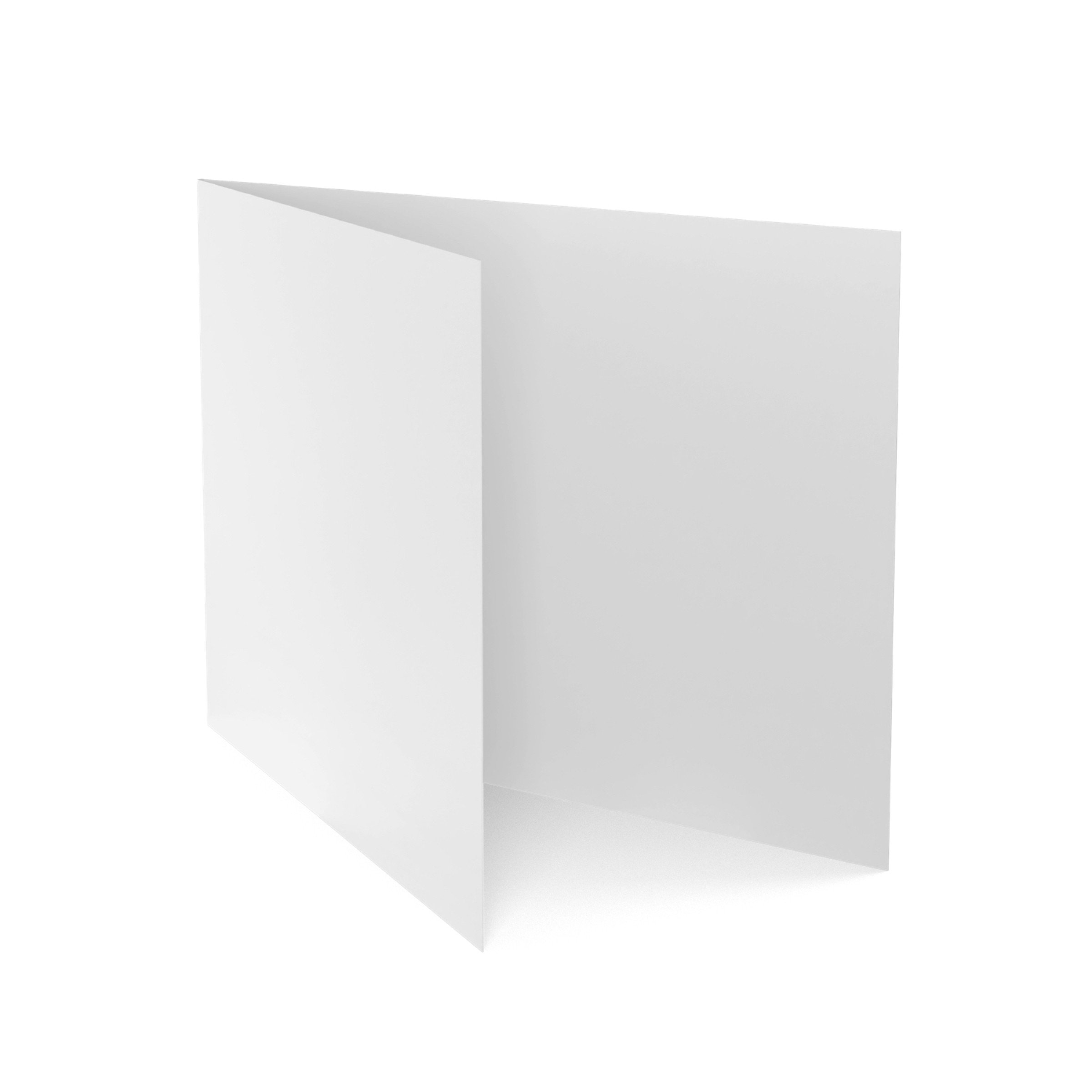 Lamination Carriers (5 Pack)